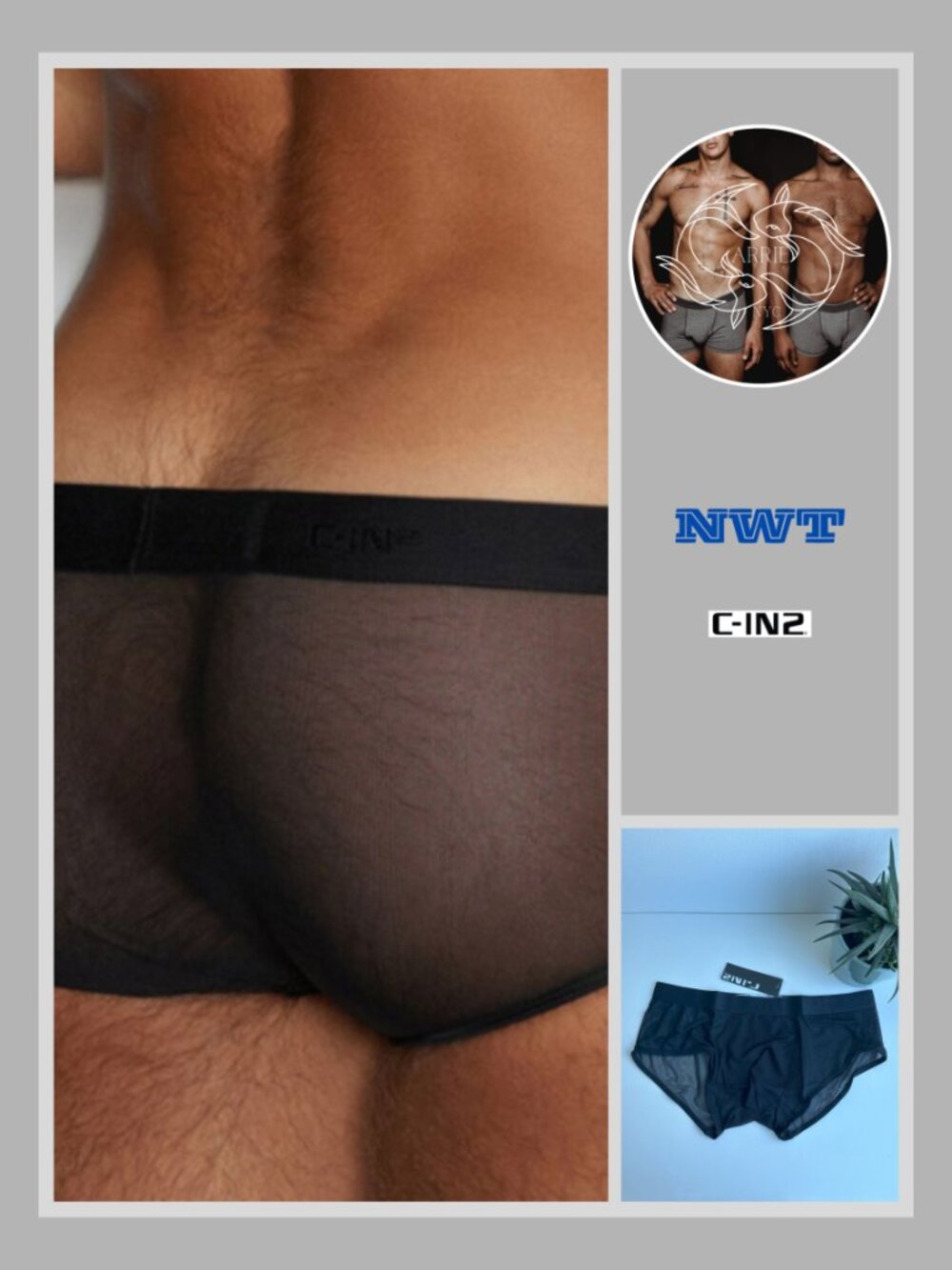 C-IN2 - Sheer - Hipster Brief - Black (M)